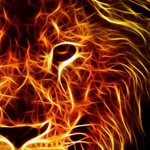 Meet your Posher, Nicholas